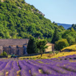 puelm-reisen-provence