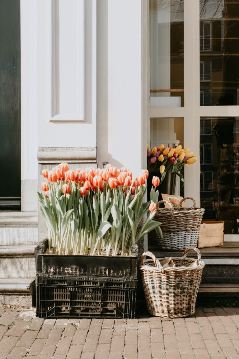 ein Blumengeschäft mit bunten Tulpen in Amsterdam.
