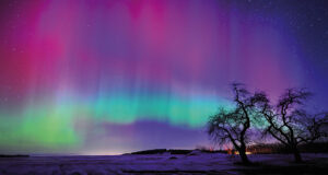 Nordlichter in Lila und Grün über einer schneebedeckten Landschaft in Finnland.