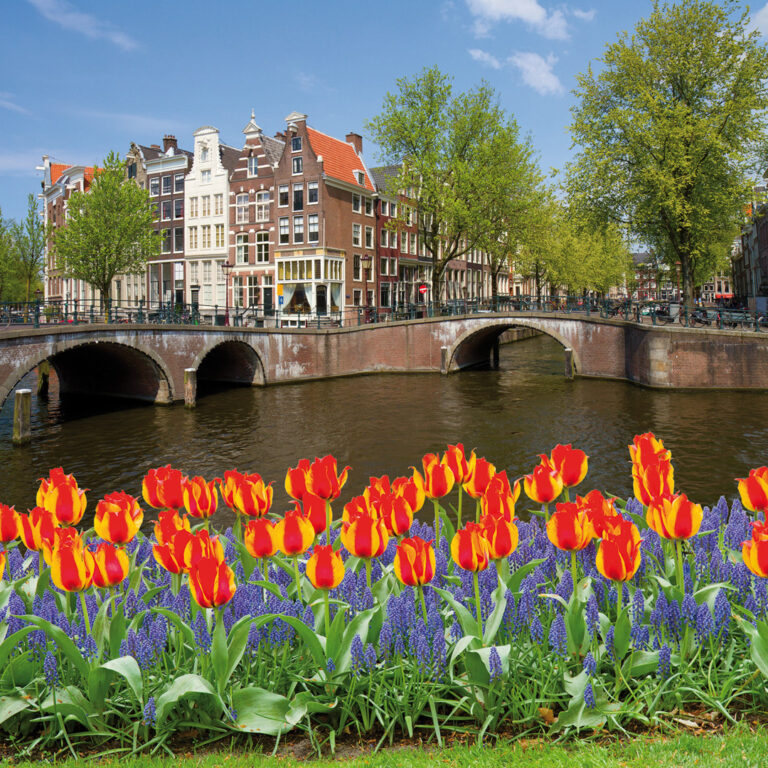 Ansicht einer Brücke im Zentrum von Amsterdam mit blühenden Tulpen im Vordergrund.