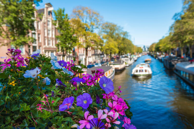 Eine Gracht in Amsterdam mit bunten Blumen im Vordergrund.