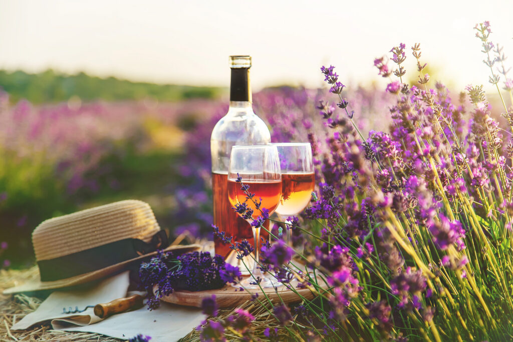 Ein Tablett mit einer Flasche und zwei Gläsern Wein neben einem Sonnenhut in einem Lavendelfeld.